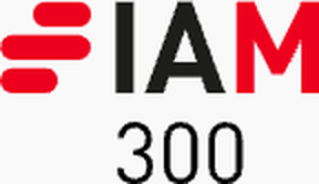 IAM Strategy 300