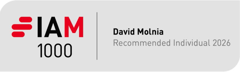 IAM Patent 1000: Recommended Individual 2026 IAM Patent 1000 — David Molnia, Recommended Individual 2026